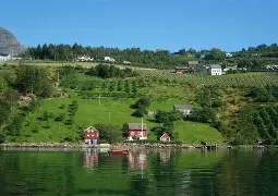 法国对战芬兰 法国对战芬兰